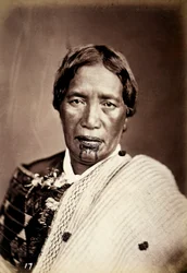 Portrait of a Maori with a tattooed face, c.1886-88
